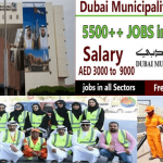 Who is eligible for employment in Dubai municipality?