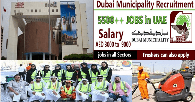 Who is eligible for employment in Dubai municipality?